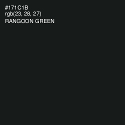 #171C1B - Rangoon Green Color Image